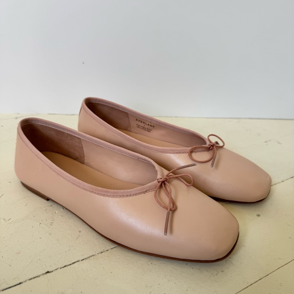 Everlane The Day Ballet Flat in Pale Pink
